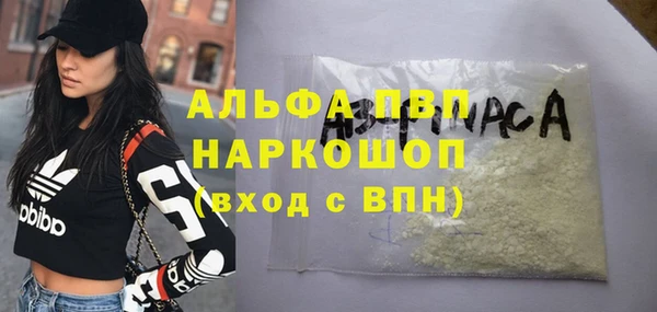 амф Новокубанск
