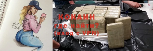 индика Новозыбков