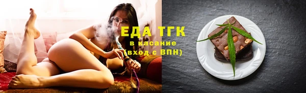 индика Новозыбков