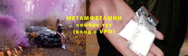 индика Новозыбков