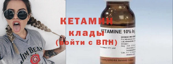 индика Новозыбков