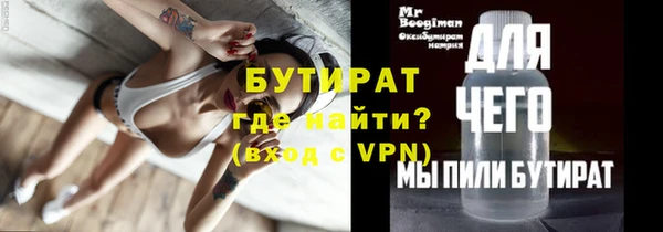 индика Новозыбков