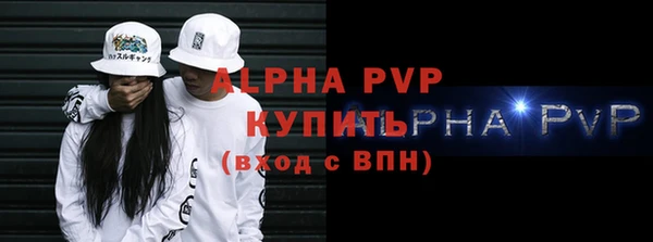 индика Новозыбков