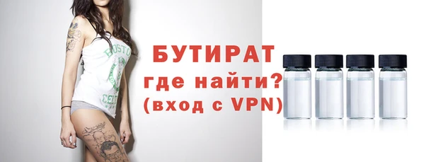 индика Новозыбков