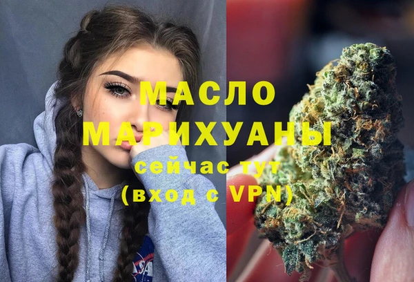 индика Новозыбков