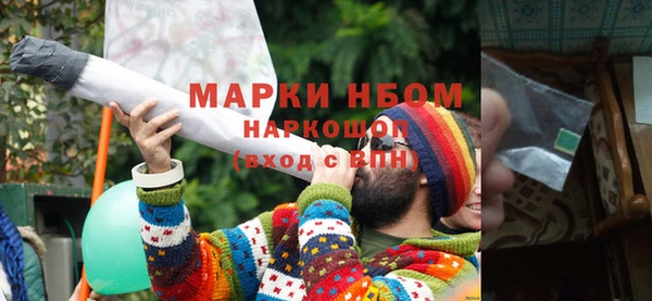 индика Новозыбков