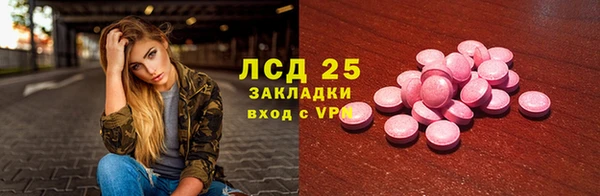 индика Новозыбков
