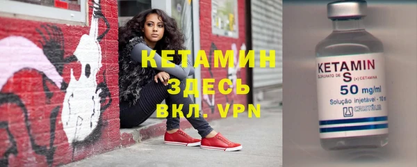 индика Новозыбков