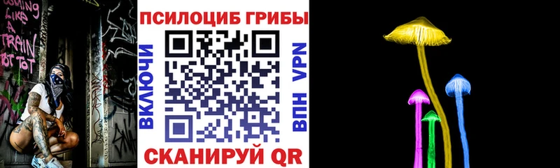 Псилоцибиновые грибы ЛСД  Купить закладки  Опочка 